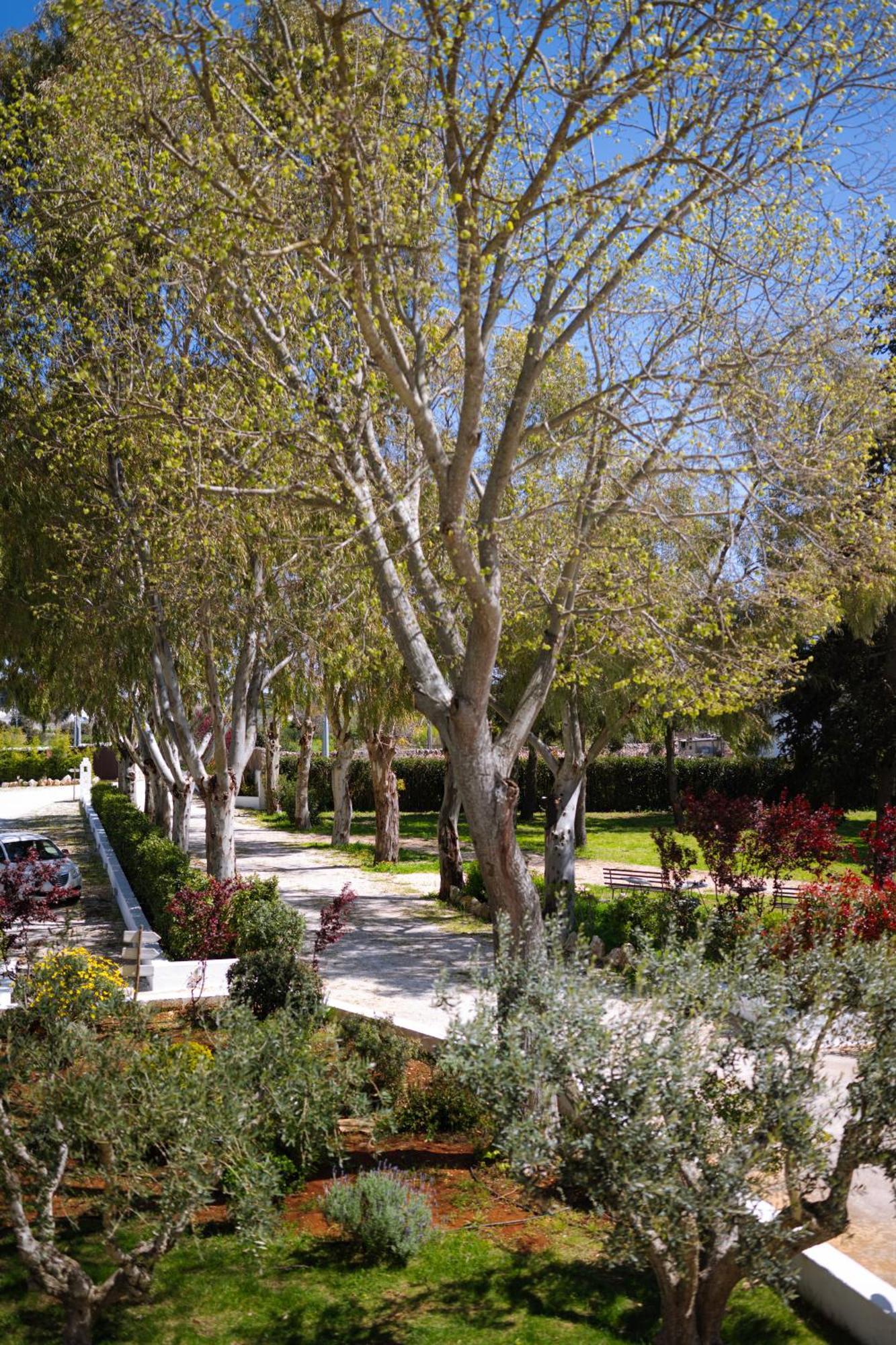 Masseria San Michele Martina Franca Ngoại thất bức ảnh